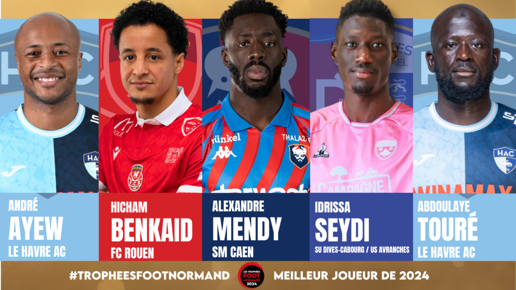 André Ayew (Havre AC), Hicham Benkaïd (FC Rouen), Alexandre Mendy (SM Caen), Idrissa Seydi (SU Dives-Cabourg puis US Avranches) et Abdoulaye Touré (Havre AC) sont nommés dans la catégorie joueur.