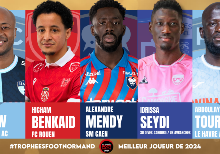 André Ayew (Havre AC), Hicham Benkaïd (FC Rouen), Alexandre Mendy (SM Caen), Idrissa Seydi (SU Dives-Cabourg puis US Avranches) et Abdoulaye Touré (Havre AC) sont nommés dans la catégorie joueur.